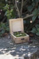 Marion PRIOULT - MPRIOULT PHOTOGRAPHIE