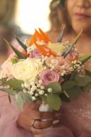 Dimitri ARNAUD - JAGUAR PROD